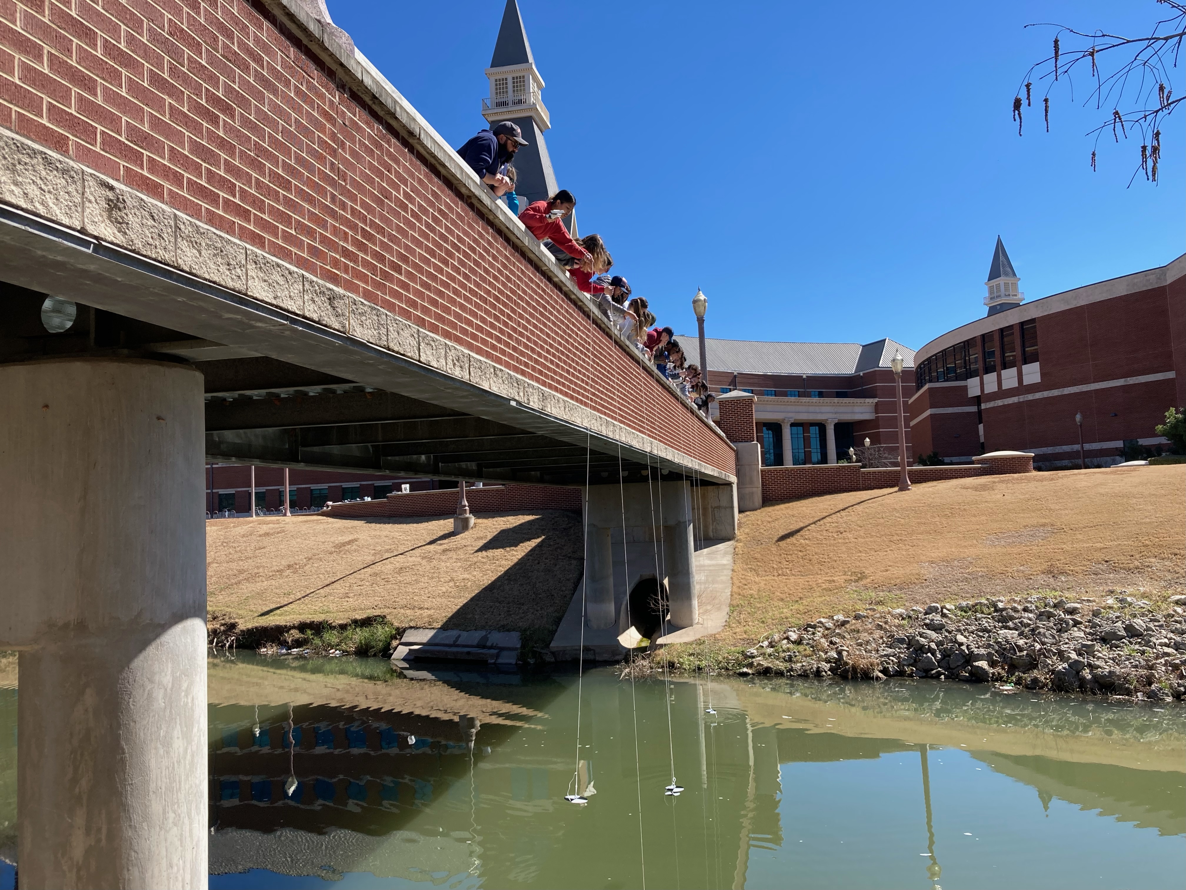 Texas Stream Team Certification-1 
